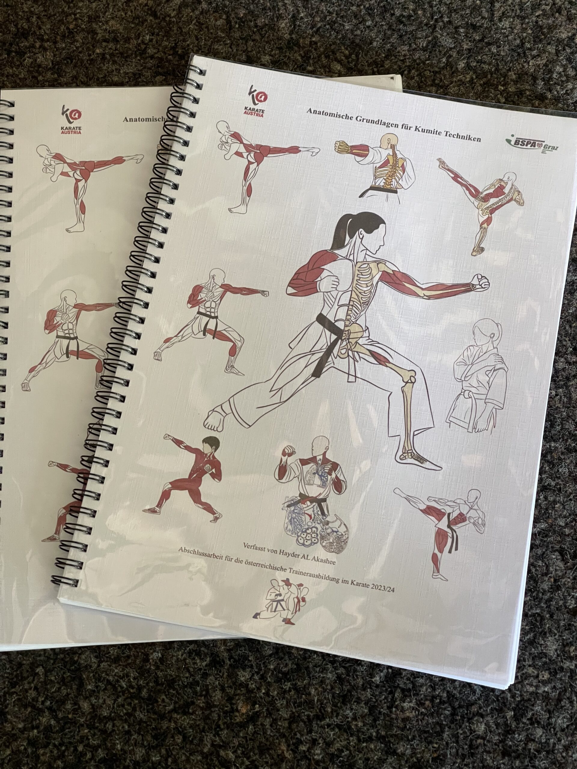 Anatomische Analyse - Coach Hayder