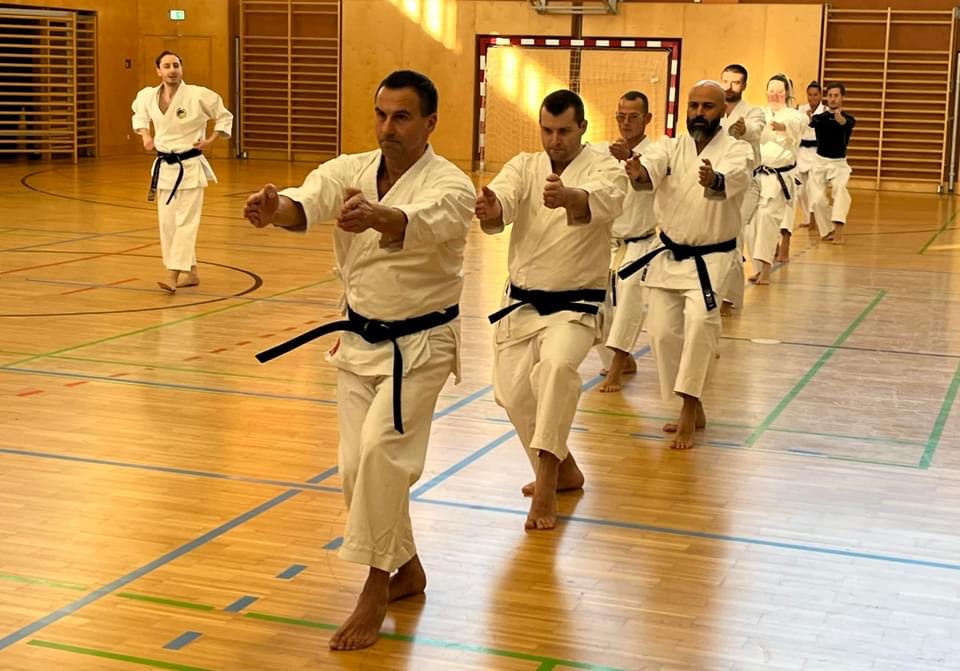 Urkunde BSPA - Coach Hayder